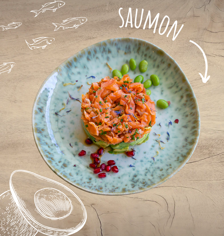 Salmon tartare